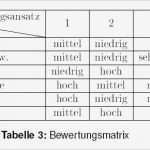 Vorlage Bewertungsmatrix Ausschreibung Erstaunlich Fantastisch Bewertungsmatrix Vorlage Galerie