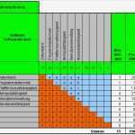 Vorlage Bewertungsmatrix Ausschreibung Süß Gruschka Schnitzenbaumer 2008