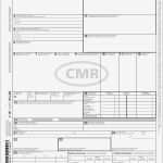 Vorlage Cmr Frachtbrief Großartig Rnk Verlag Vordruck Internationaler Frachtbrief Cmr Sd