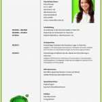 Vorlage Cv Inspiration Bewerbung Cv Curriculum Vitae Vorlage Englisch Lebenslauf