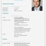 Vorlage Cv Schönste Kurz Cv Vorlage Lebenslauf Beispiel