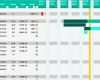 Vorlage Diagramm Gut Projektplan Excel