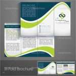 Vorlage Flyer Erstaunlich 1000 About Brochure Design Pinterest