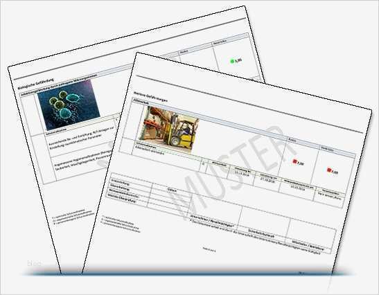 Vorlage Gefährdungsbeurteilung Wunderbar Gefährdungsbeurteilungen Plus ...