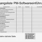 Vorlage Konzepterstellung Bewundernswert Projektbeispiel „einführung Einer Pm software