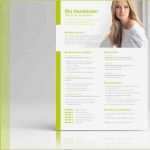 Vorlage Lebenslauf Design Beste Cv Examples and Cover Letter In Word &amp; Open Fice Download