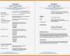 Vorlage Lebenslauf Englisch Tabellarisch Best Of 11 Curriculum Vitae Vorlage Word