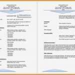 Vorlage Lebenslauf Englisch Tabellarisch Best Of 11 Curriculum Vitae Vorlage Word