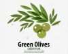 Vorlage Logo Best Of isolated Olive Branch Vector Logo Stockfotos &amp; isolated