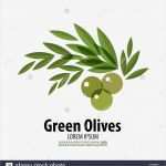 Vorlage Logo Best Of isolated Olive Branch Vector Logo Stockfotos &amp; isolated