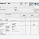 Vorlage Lose Excel Erstaunlich Schön Site Management Plan Vorlage Fotos Entry Level