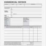 Vorlage Lose Excel Schön Export Invoice Template 14 Mercial Invoice Templates