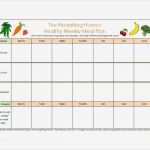 Vorlage Lose Excel Schönste 40 Weekly Meal Planning Templates Template Lab