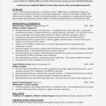 Vorlage Management Summary Best Of Ausgezeichnet Executive Resume Vorlage Bilder Vorlagen