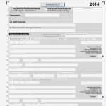 Vorlage Mieterselbstauskunft Erstaunlich Einkommenssteuer 2014 Mit Allen Anlagen Pdf Vorlagen