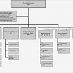 Vorlage organigramm Cool Großartig Aufbau organigramm Vorlage Galerie Entry Level