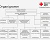 Vorlage organigramm Einzigartig Großartig Grund organigramm Galerie Bilder Für Das