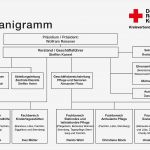 Vorlage organigramm Einzigartig Großartig Grund organigramm Galerie Bilder Für Das