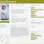 Vorlage Persona Best Of Zielgruppenanalyse Im Line Marketing