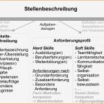 Vorlage Stellenbeschreibung Großartig 5 Stellenbeschreibung Muster