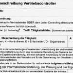 Vorlage Stellenbeschreibung Wunderbar Stellenbeschreibung Vertriebscontroller