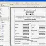 Vorlage Zeugnis Einzigartig Rorig software Hilfe Zeugnisformulare Verändern Oder