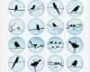 Vorlagen Für Cabochons Elegant Blue Bird Silhouettes 1313 25mm 1 15 Images De