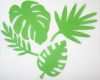 White Paper Vorlage Einzigartig Silhouette White Paper Leaves On Green Background Google