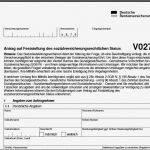 Widerspruch Rentenversicherung Vorlage Fabelhaft Hilfe Zum Drv Fragebogen V027 V0027