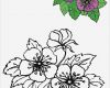 Window Color Vorlagen Blumen Gut Blumen Vorlagen 1 Art Draw Flowers Pinterest