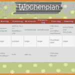 Wochenplan Familie Vorlage Erstaunlich 7 Putzplan Wochenplan