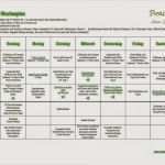 Wochenplan Familie Vorlage Gut Pipapo Paleo whole30 Spezial Wochenplan Zum Download