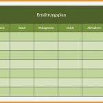 Wochenplan Vorlage Word Fabelhaft 10 Muster Wochenplan