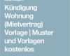 Wohnungskündigung Vorlage Kostenlos Erstaunlich Die Besten 25 Vorlage Kündigung Mietvertrag Ideen Auf