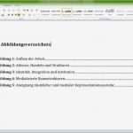 Word Vorlage Bachelorarbeit Schön Abbildungsverzeichnis In Word Erstellen