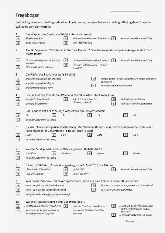 Datei Fragebogen Saarquiz pdf –