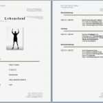 Word Vorlagen Download Wunderbar Lebenslauf Vorlagen Word Download