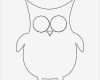 Zeichen Vorlagen Cool Owl Template Animal Templates