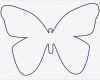 Zeichen Vorlagen Kinder Bewundernswert Die 25 Besten Schmetterling Vorlage Ideen Auf Pinterest