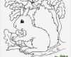 Zeichen Vorlagen Kinder Wunderbar Die Besten 25 Eichhörnchen Zeichnen Ideen Auf Pinterest