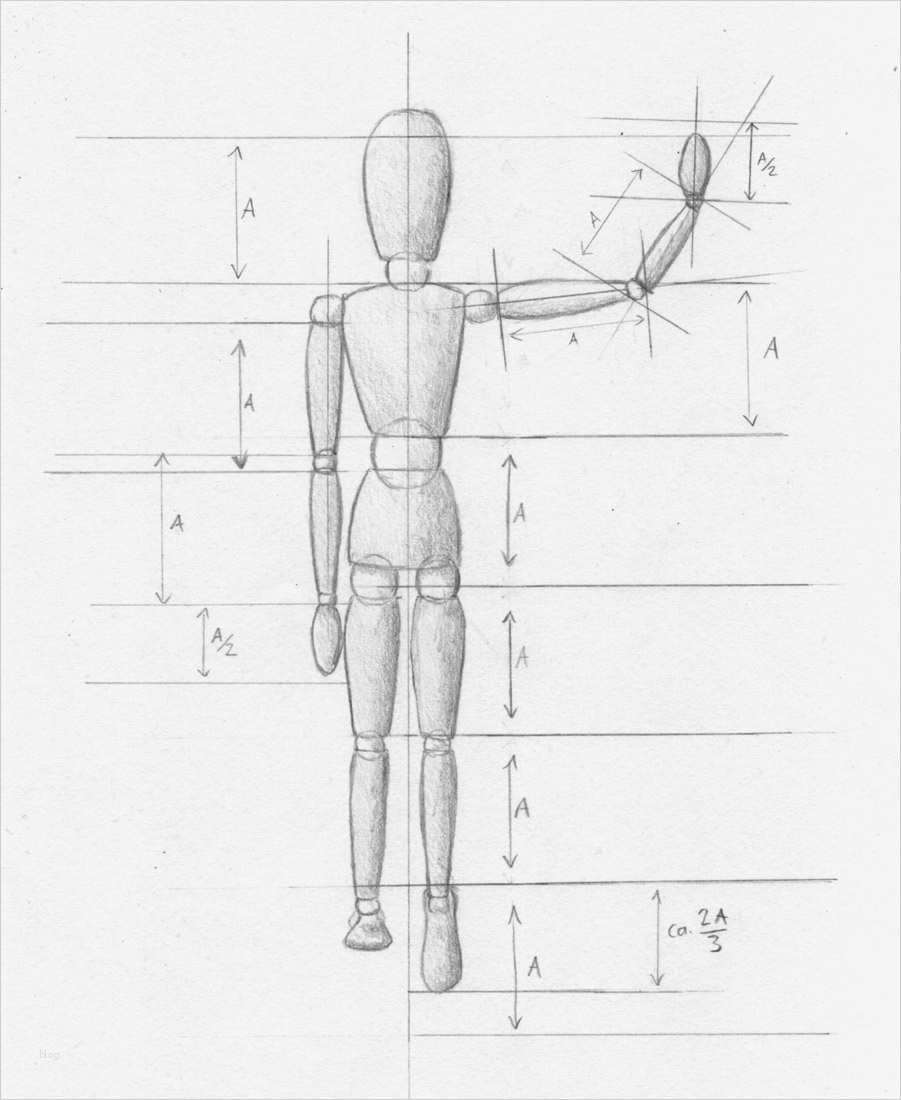 Zeichnen Vorlagen Erstaunlich Menschen Zeichnen Proportionen Mann Und