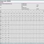 Zeitaufnahme Excel Vorlage Beste Refa Zeitaufnahme Excel Vorlage – Kundenbefragung