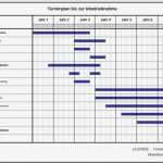 Zeitplan Vorlage Großartig Nett Pille Zeitplan Vorlage Fotos Entry Level Resume