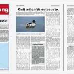 Zeitung Erstellen Vorlage Fabelhaft Vorlage Für Eine Zeitung A4 Für Adobe Indesign