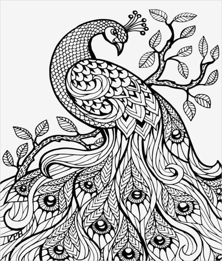 Zentangle Vorlagen Zum Ausmalen Erstaunlich Zentangle Vorlagen Gratis