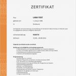 Zertifikat Vorlage Gut Schön Partizipations Zertifikat Vorlage Bilder Bilder