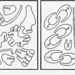 3d Vorlagen Download Erstaunlich Aufbauanleitungen 3d Edelstahl Puzzle Edelstahl