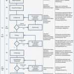 4d Report Vorlage Erstaunlich Musterhandbuch Azav &amp; iso Pdf