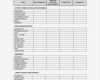 8d Report Vorlage Excel Erstaunlich 8d Report Template Xls