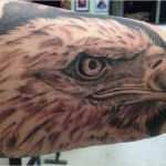 Adler Schnitzen Vorlagen Luxus 20 Wunderschöne Weißkopfseeadler Tattoos